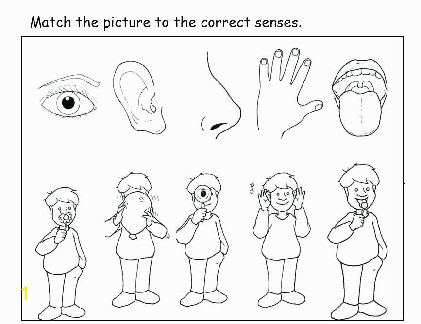 Five Senses Coloring Pages New 40 Beautiful 5 Senses Coloring Pages for Preschoolers Five Senses