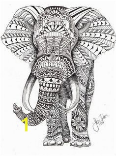 Free Animal Adult Coloring Pages Elephant freeadultcoloringpages freeprintableadultcoloringpages