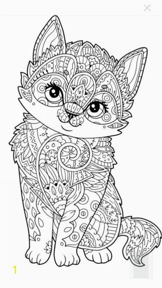 Cute kitten coloring page More eerr Ja