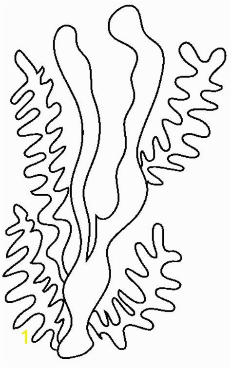 Algae Coloring Pages Ingenious Idea Algae Coloring Pages Street Cars Barbie 10
