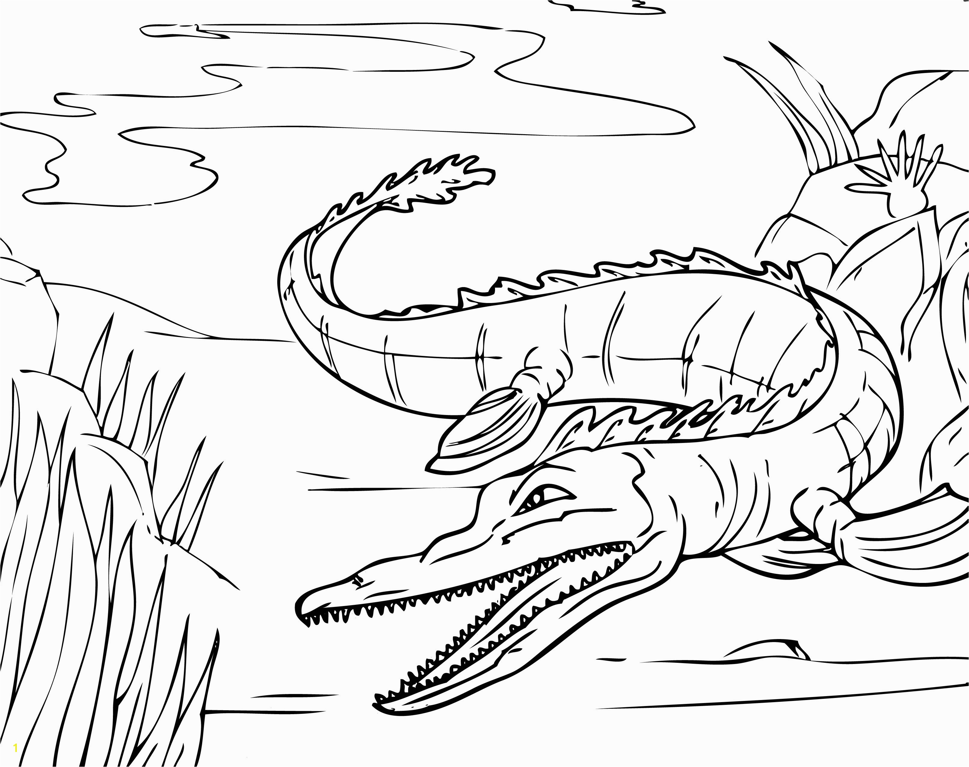 Aligator Coloring Pages Alligator Coloring Pages Cute Alligator Coloring Pages Kawaii