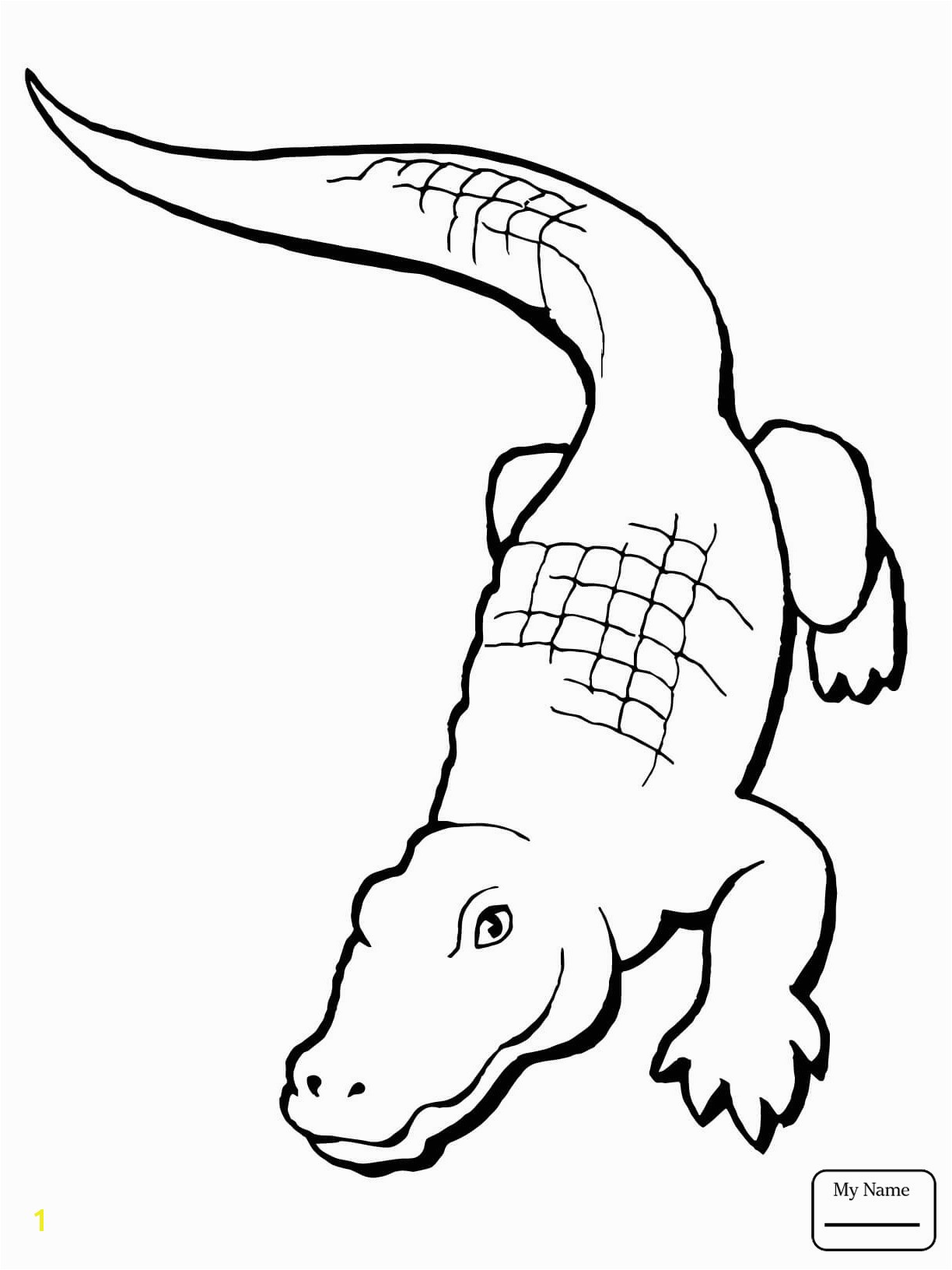Aligator Coloring Pages American Alligator Coloring Page Lovely Alligator Drawing Step by