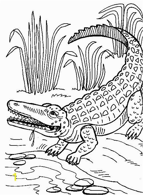 Crocodile Coloring Pages To Print coloring pages