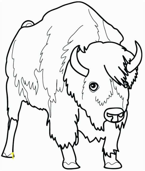 bison coloring page bison coloring page picture of a 4 kids pages free american bison coloring