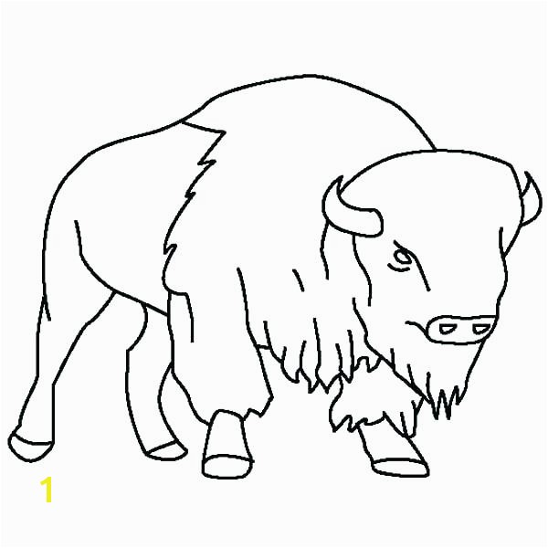 American Bison Coloring Page Bison Coloring Page Pages Draw A Buffalo Taking Care Her Baby P