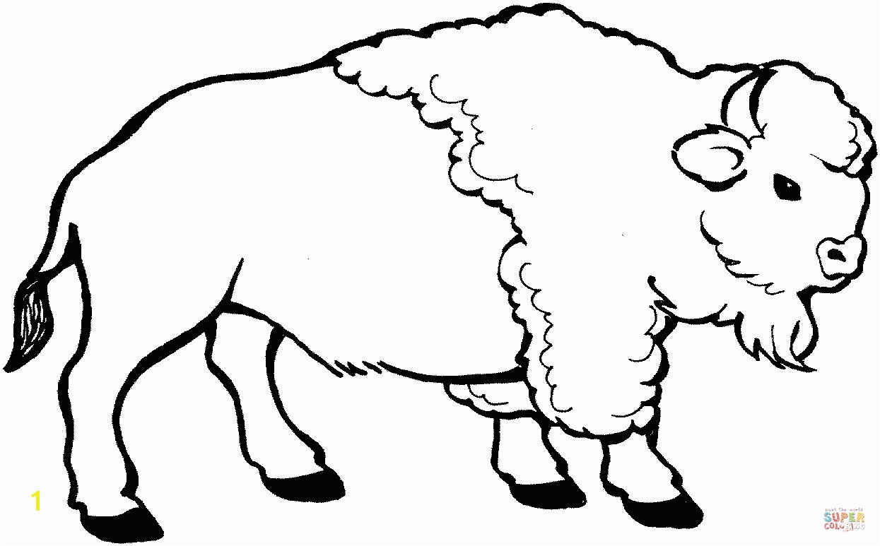 the Young bison coloring pages