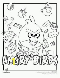 Angry Birds Coloring Pages for Learning Colors 25 Best Angry Birds theme Images On Pinterest