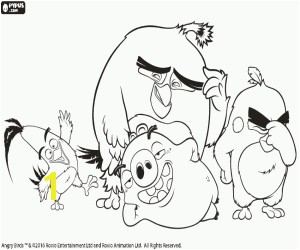 Protagonists Angry Birds the movie · Angry Birds nine characters coloring page