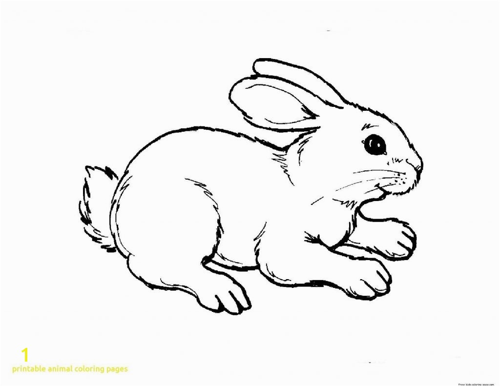 Opportunities Animal Coloring Pages Printable Animals 8305 1650 1275