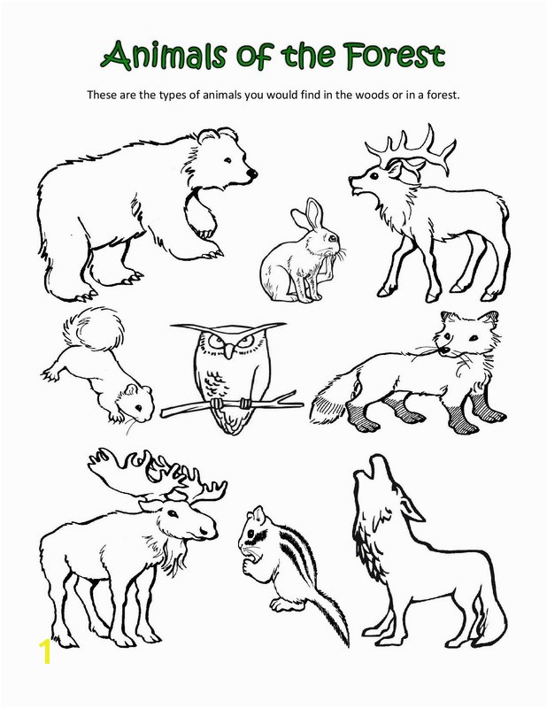 Arctic Animals Colouring Pages Polar Animals Coloring Pages Bell Rehwoldt