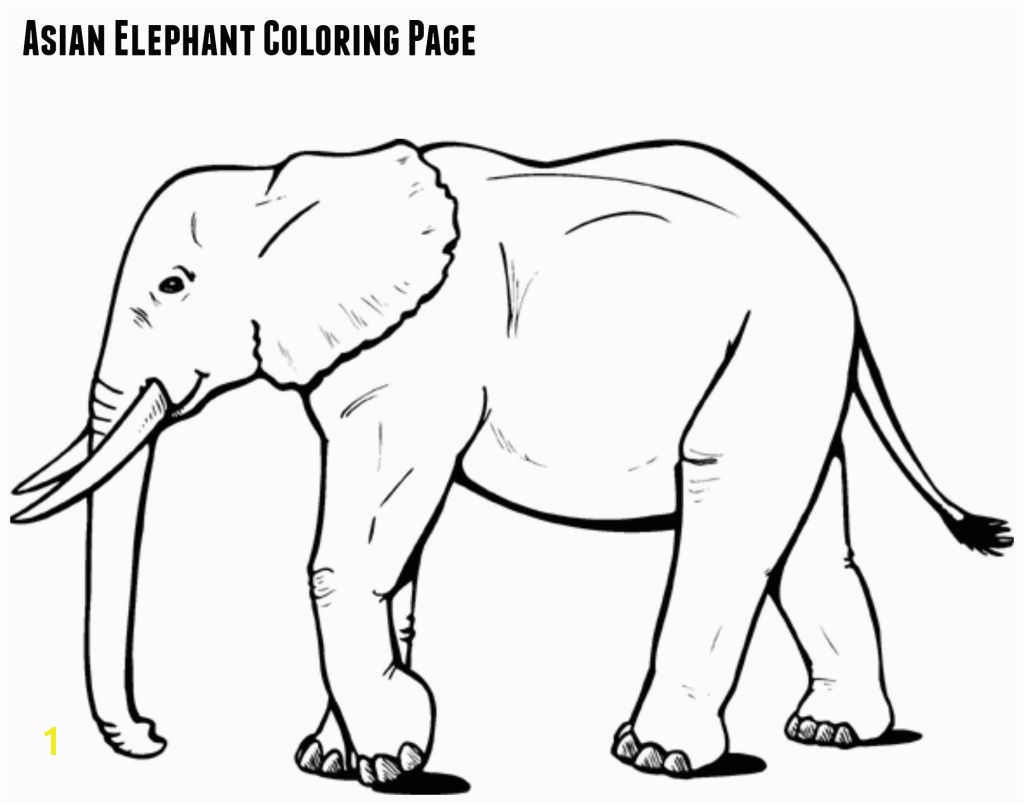 Asian Elephant Coloring Page asian Elephant Coloring Page Jenny at Dapperhouse