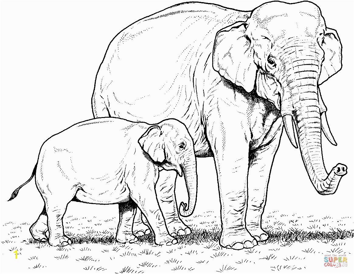 important pictures of elephants to color indian elephant baby and mother coloring page free printable