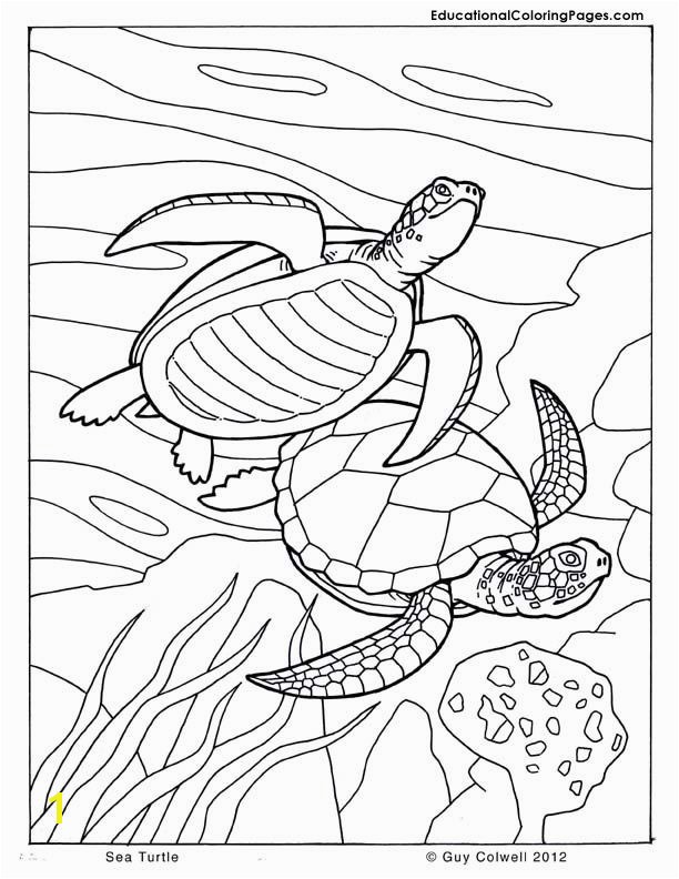 Australian Outback Coloring Pages Ocean Animals Coloring Pages Under the Ocean Drawing at Getdrawings