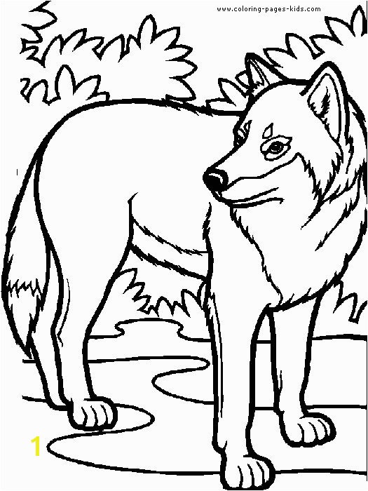 Avalon Web Magic Coloring Pages Lovely Wolf Coloring Pages for Kids Avalon Web