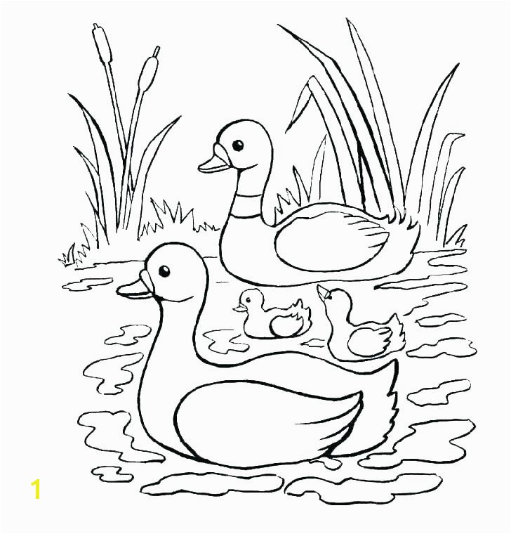 Baby Duck Coloring Pages to Print Baby Duck Coloring Pages Ducks Trend Medium Size Daffy Page Color