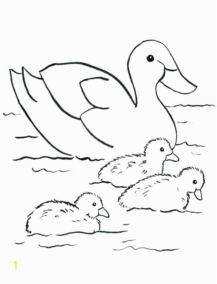 Baby Duck Coloring Pages to Print Coloring Pages A Duck