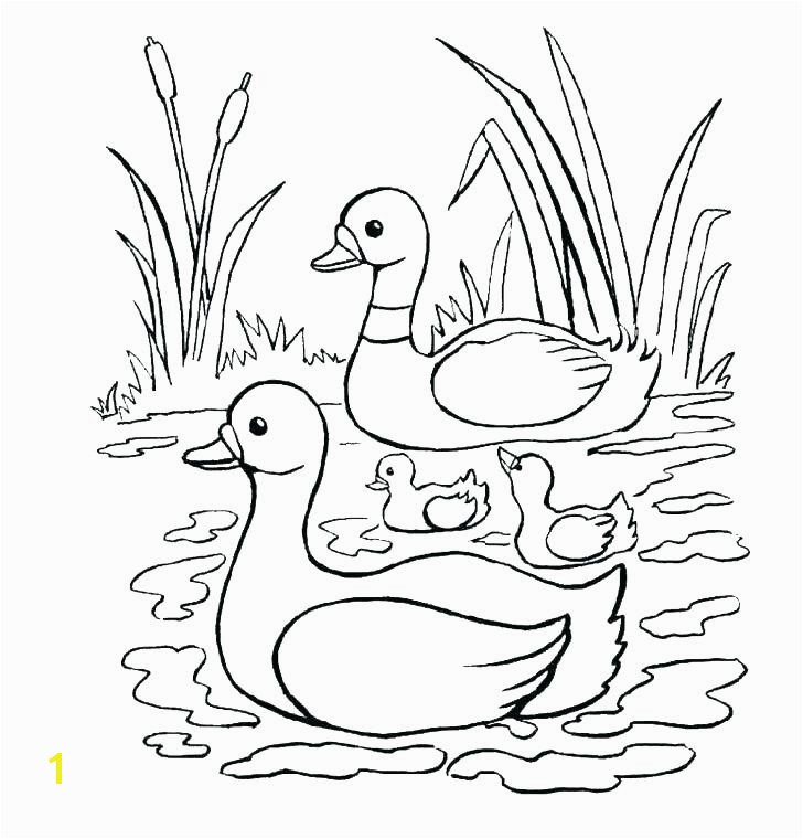 Baby Goose Coloring Pages Best Coloring Pages Ducks Baby Goose Coloring Pages Elegant Printable