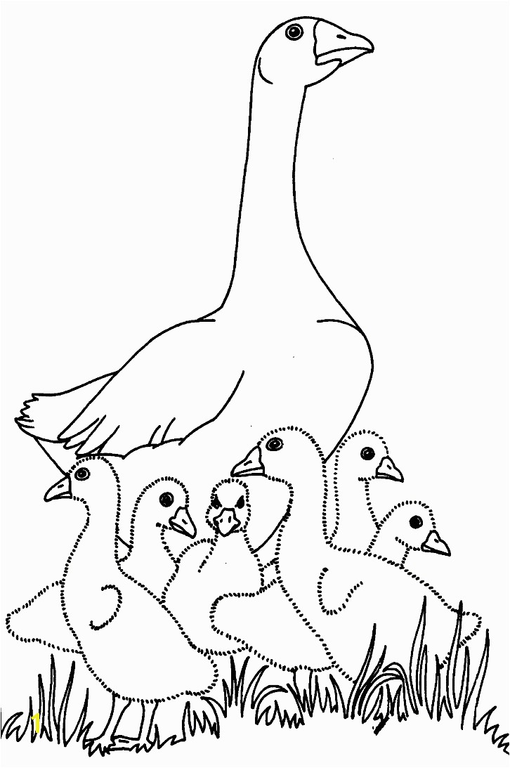 Baby Goose Coloring Pages Charlotte S Web Coloring Pages