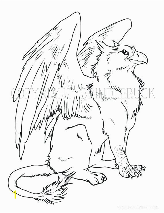 Baby Griffin Coloring Pages Coloring Page Download Child Art Adult By
