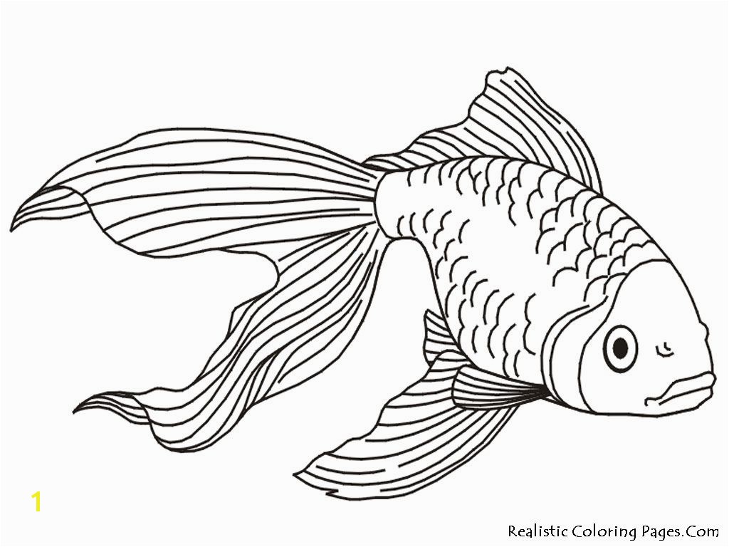 Tropical Fish Coloring Pages