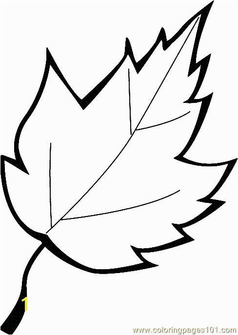 Big Leaf Coloring Pages Leaf Coloring Page 13 Printable Coloring Page for Kids and Adults