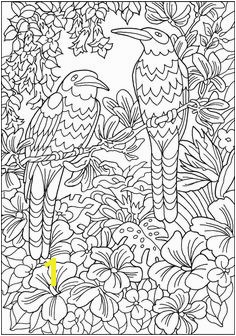 Creative Haven Paradise Designs Coloring Book Wel e to Dover Publications