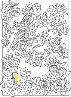 Dover Creative Haven Paradise Designs Coloring Page 4