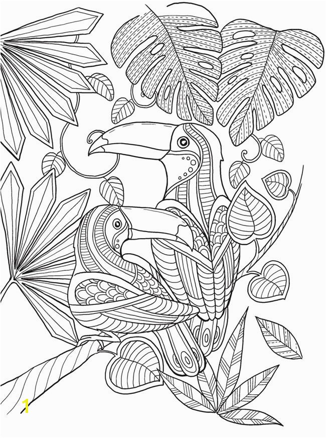 Bird Of Paradise Coloring Page Keep Calm and Color Birds Of Paradise Coloring Book Free