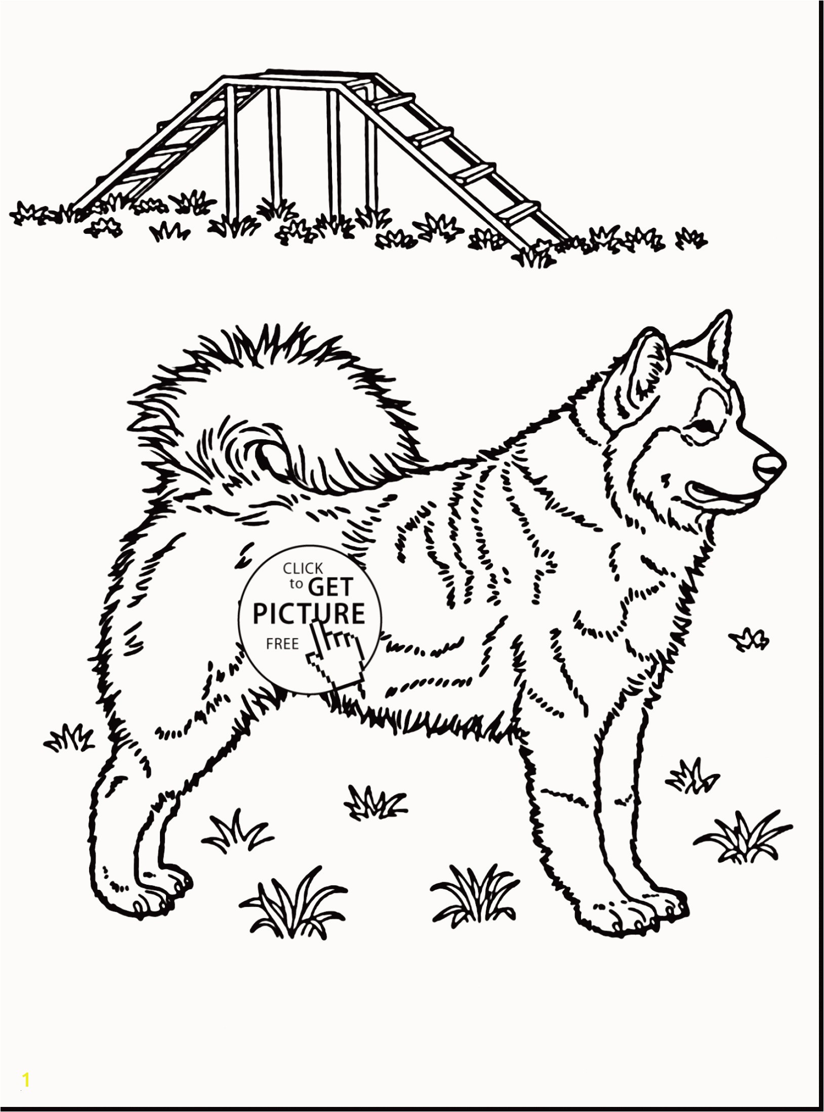 Coloring Pages Horses Free Awesome Husky Coloring Pages Beautiful Husky Coloring 0d Free Coloring Pages
