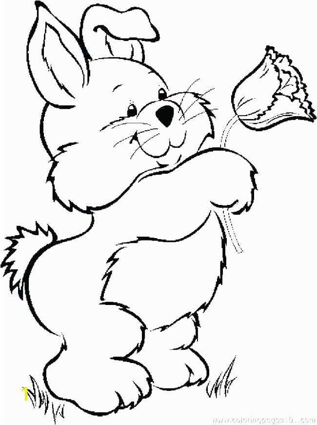 bunny coloring pages free free rabbit coloring pages bunny rabbit coloring page coloring pages rabbit bunny bunny coloring pages free