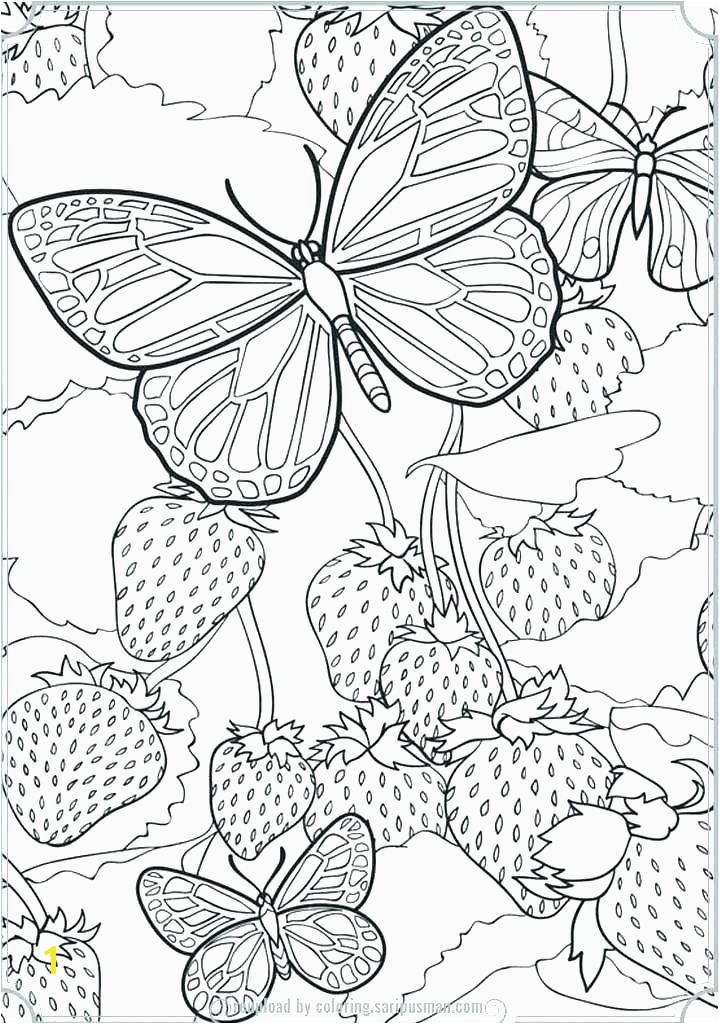 A butterfly Coloring Page Unique Coloring Pages Line New Line Coloring 0d Archives Con Scio – Fun Pics