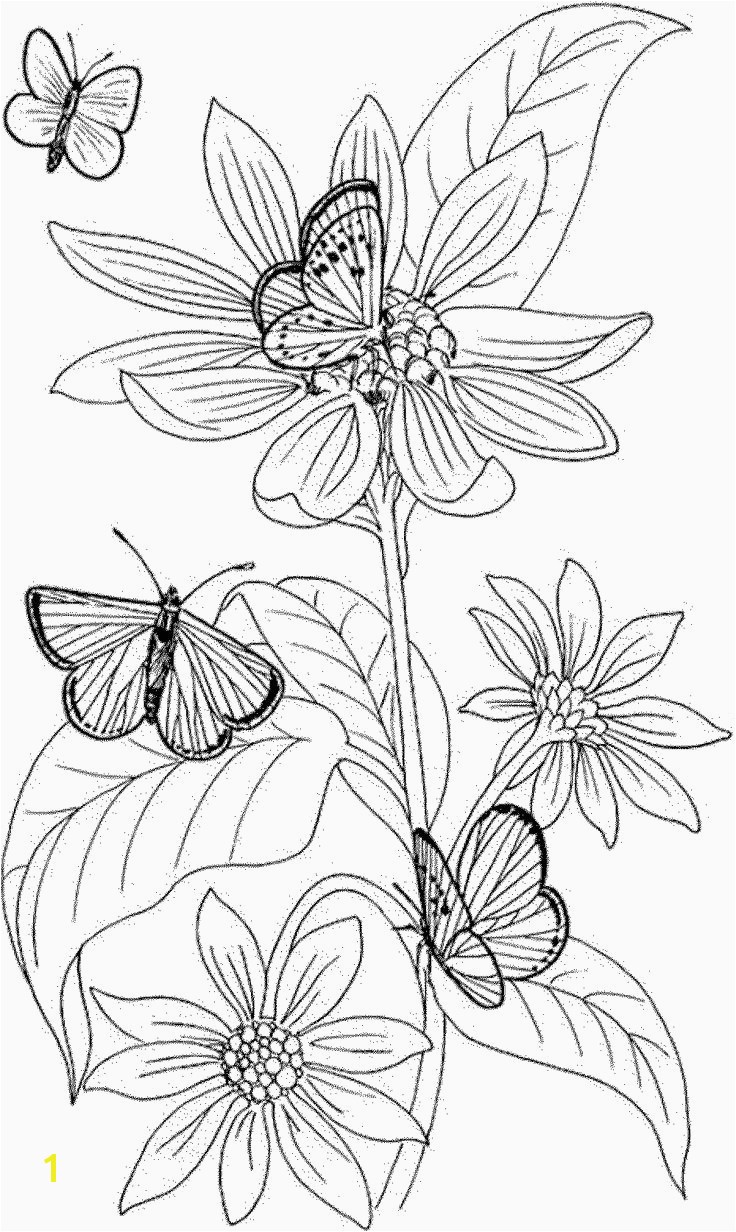 Butterflies Coloring Pages Butterfly Coloring Pages Unique Crayola Pages 0d Archives Se