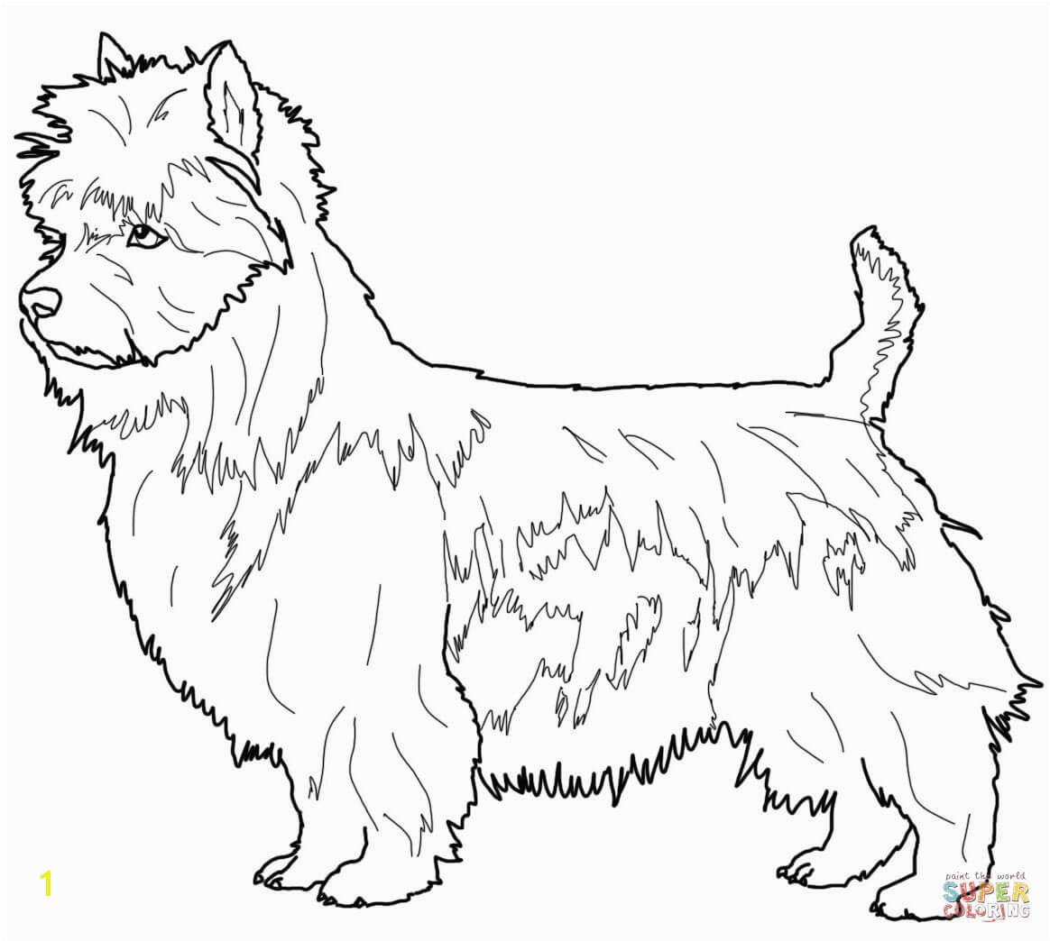 1164x1044 Boston Terrier Coloring Page Elegant Boston Terrier Coloring Page