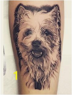 Cairn Terrier Coloring Pages Cairn Terrier Tattoos Ideas