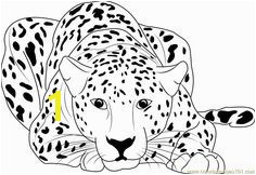 Cheetah Sitting coloring page Free Printable Coloring Pages