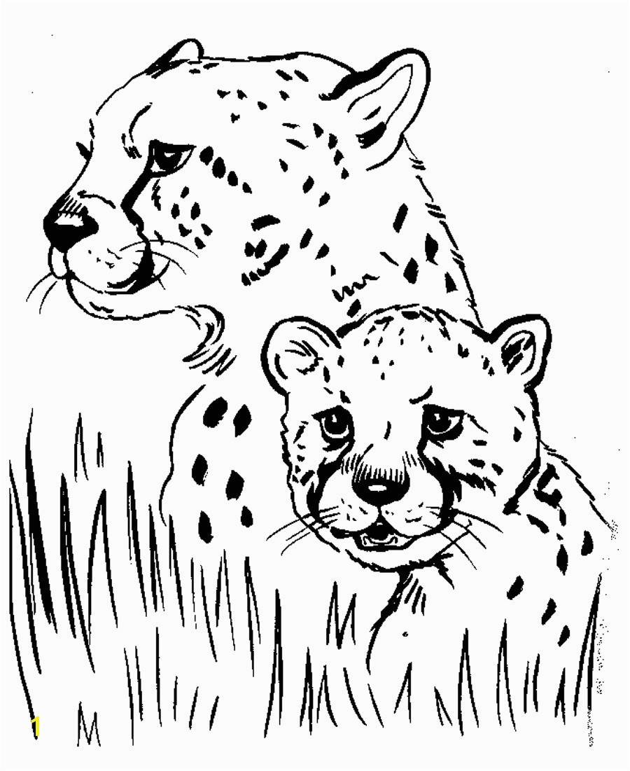 Cheetah Coloring Pages New Cheetah Coloring Sheet Download 17a Free Printable Cheetah Coloring Pages for