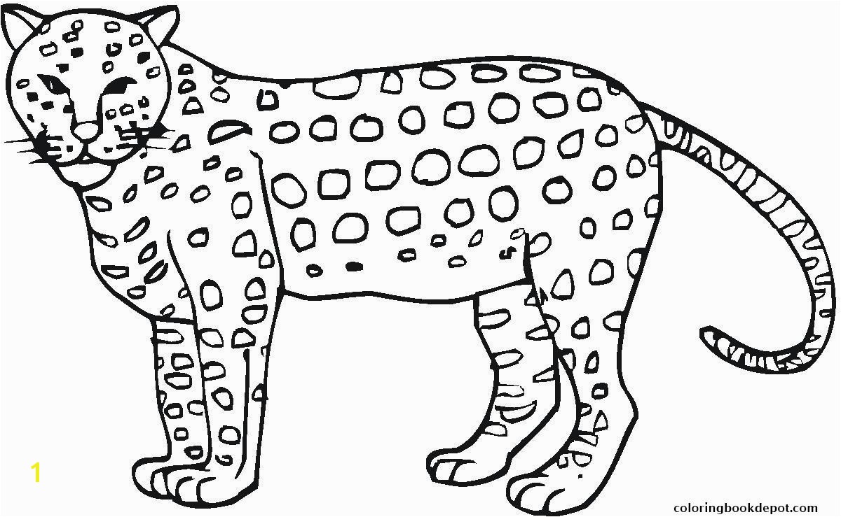 animal cheetah print out s3296 coloring pages