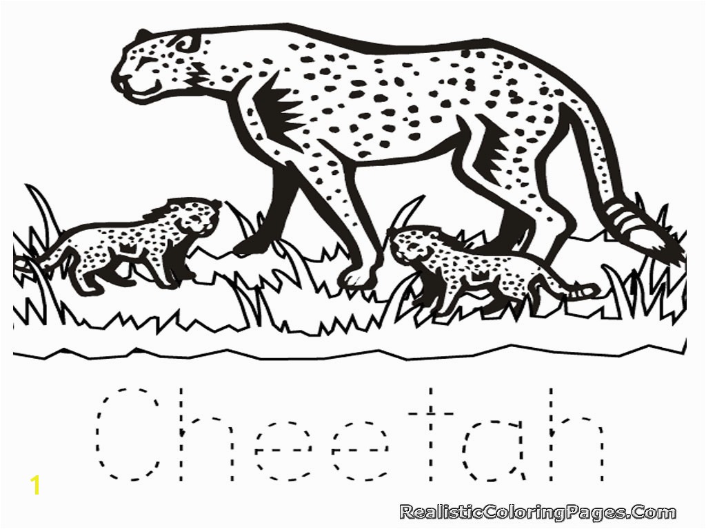 animal coloring pages cheetah