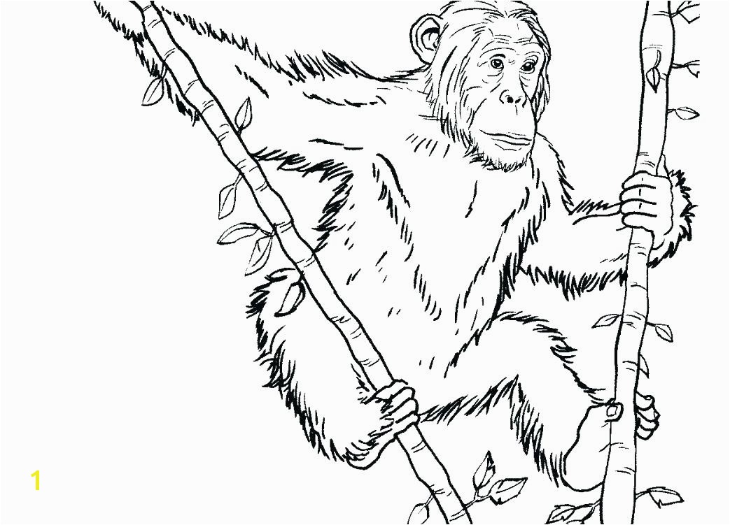 chimp coloring pages chimpanzee coloring page large size of cartoon chimpanzee coloring pages printable page free