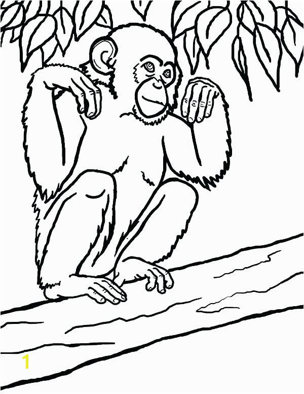 Chimpanzee Coloring Page Exclusive Chimpanzee Coloring Pages Happy Page Free Baby Chimpanzee Coloring Page Printable