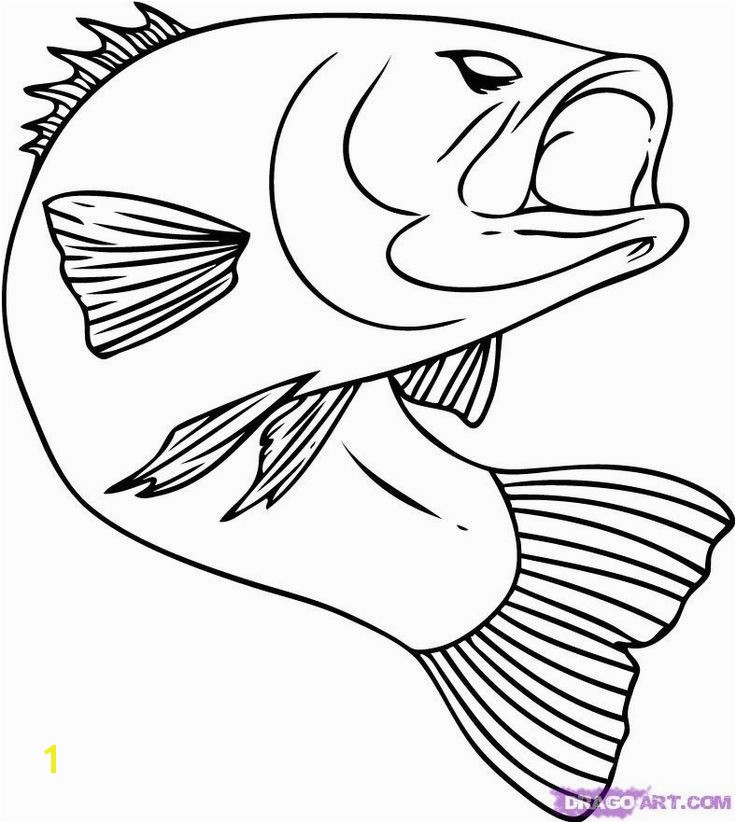 Chinook Salmon Coloring Page Awesome 109 Best Line Drawings for Literacy Pinterest 20