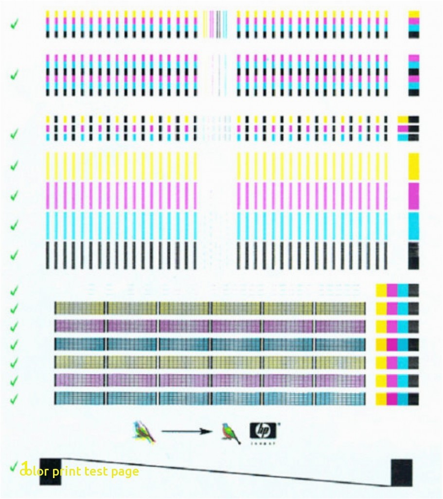 Color Ink Test Page Printer Test Sheet Color Test Page for Printer Black and White