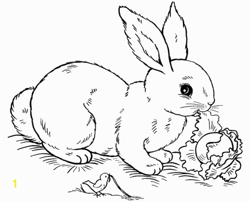 bunny coloring page