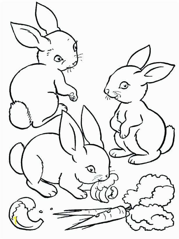 Coloring Page Of A Rabbit Coloring Pages Bunny Bunny Rabbit Coloring Page Bunny Rabbit