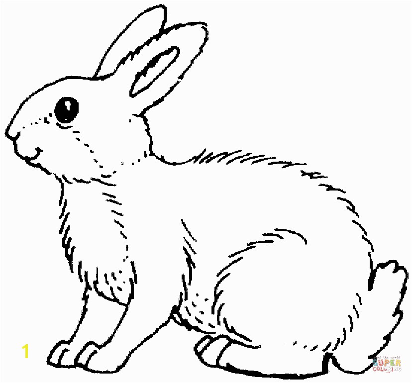 Coloring Page Of A Rabbit Rabbits Coloring Pages