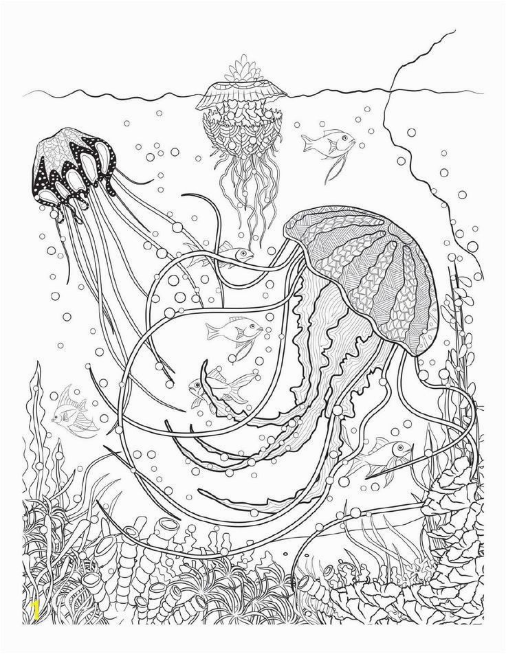 Coloring Page A River New Coloring Page A River Luxury Colorear Cangrejo 0d – Oldmintfo Stock