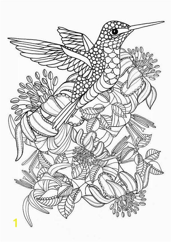 Coloring Pages Birds Flying Hummingbird Printable Coloring Pages Digital Of Beautiful