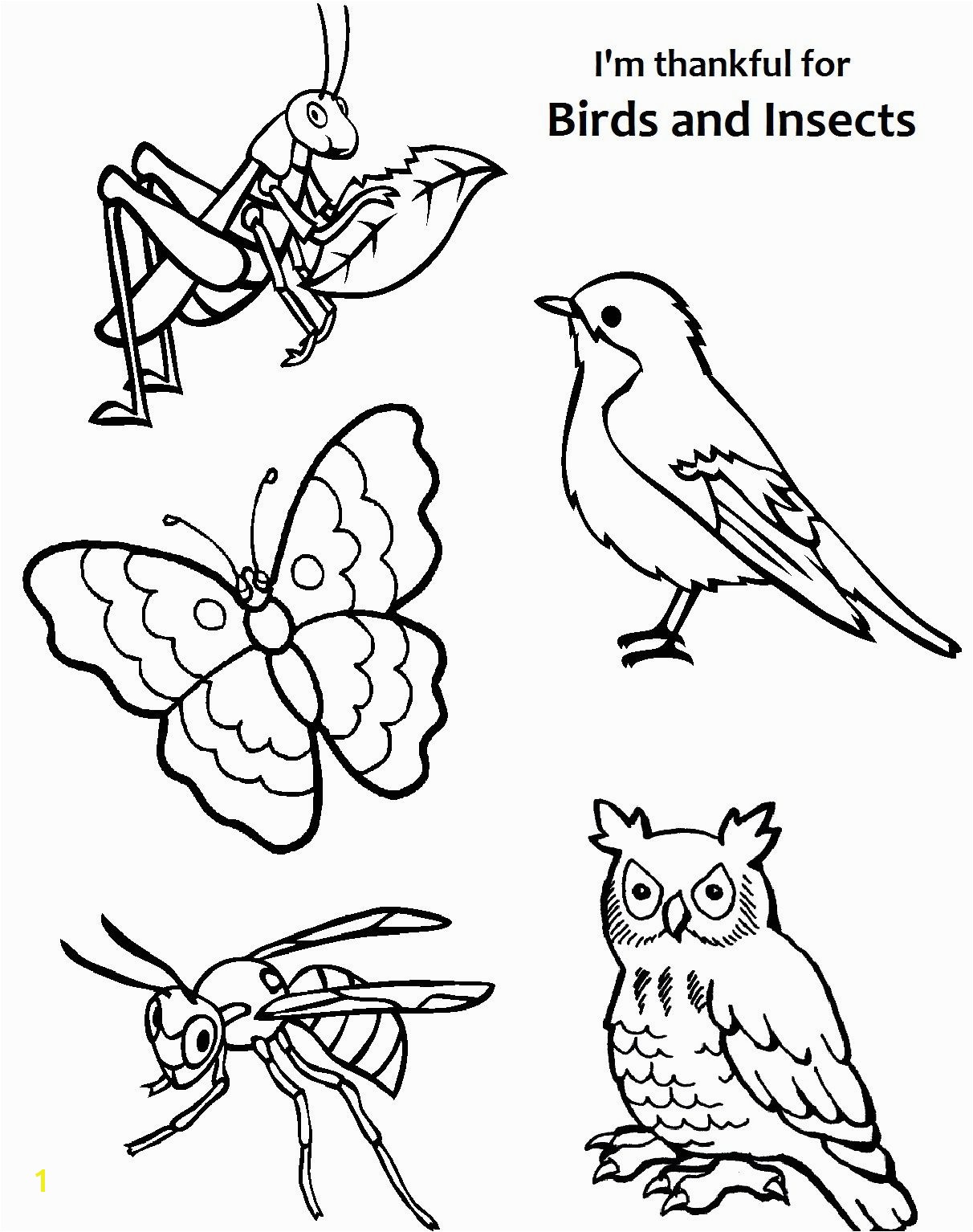 Coloring Pages Birds Flying I Am Thankful for Birds and Insects Coloring Page