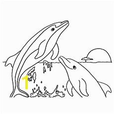 Free Printable Dusky Dolphin Coloring Pages