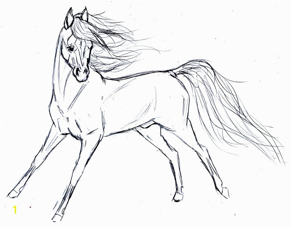 Coloring Pages Horses Running Running Horse Coloring Pages